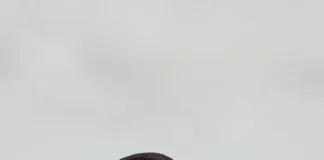 Kamp Alanında Çevreci Olmak İçin Neler Yapılabilir? İşte Fikirler!