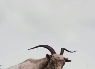 Kamp Alanında Çevreci Olmak İçin Neler Yapılabilir? İşte Fikirler!